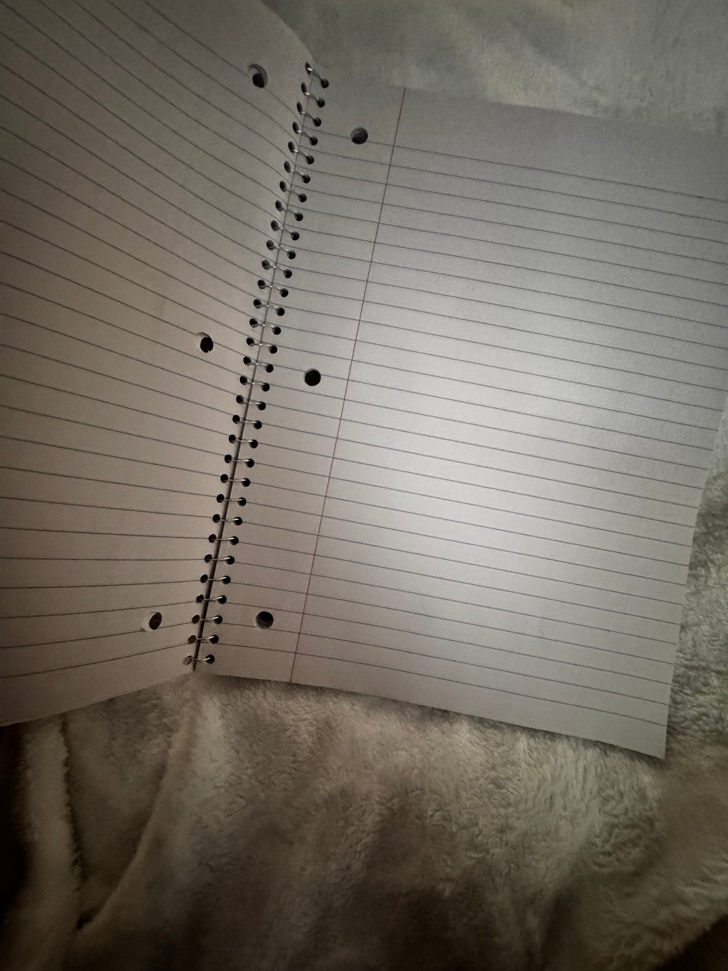 Custom spiral notebooks